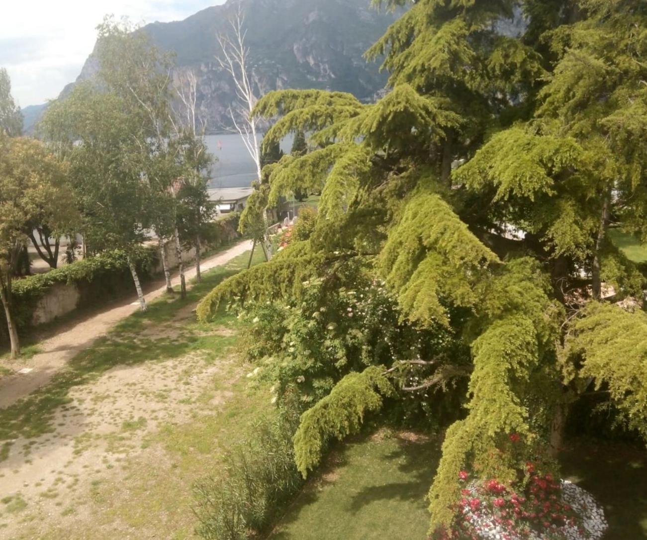 Villa Torbole Torbole Sul Garda Eksteriør bilde